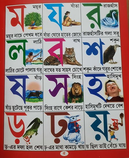 ALL IN ONE - একের মধ্যে সব