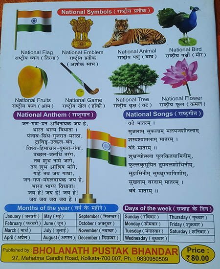 ALL IN ONE (G.K.) ALPHABETS (HINDI & ENGLISH) - Image 3