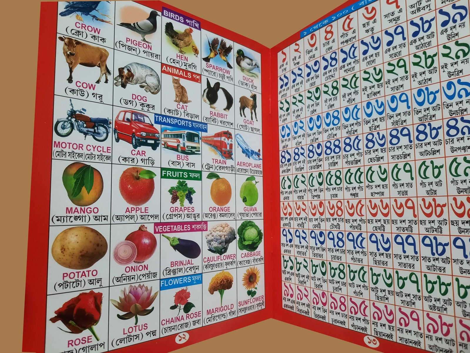 ALL IN ONE - একের মধ্যে সব - Image 6